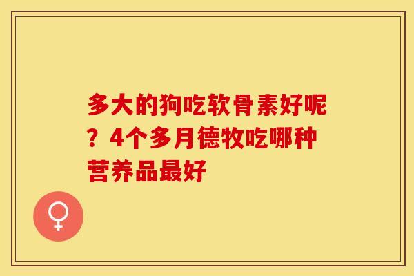 多大的狗吃软骨素好呢？4个多月德牧吃哪种营养品最好
