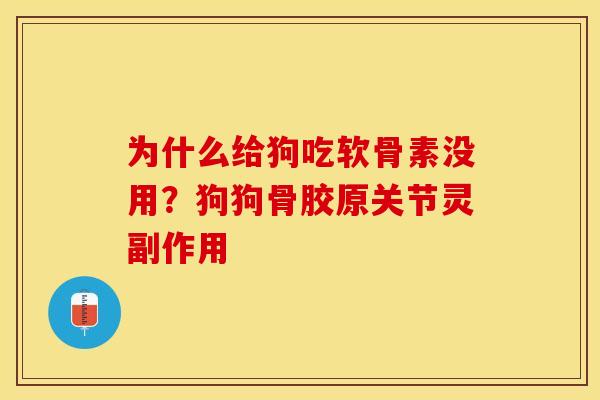为什么给狗吃软骨素没用？狗狗骨胶原关节灵副作用