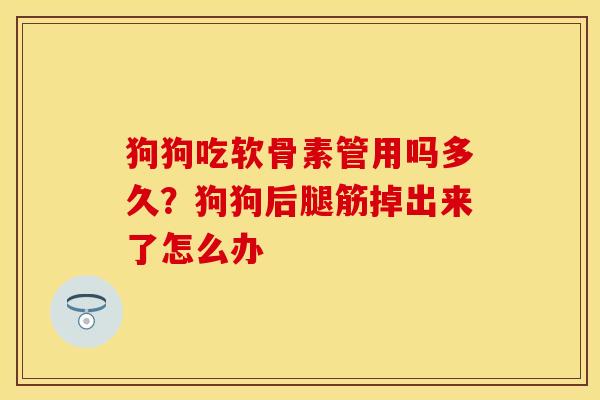 狗狗吃软骨素管用吗多久？狗狗后腿筋掉出来了怎么办