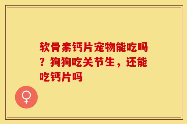 软骨素钙片宠物能吃吗？狗狗吃关节生，还能吃钙片吗