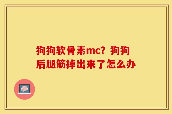 狗狗软骨素mc？狗狗后腿筋掉出来了怎么办-第1张图片-关节保镖