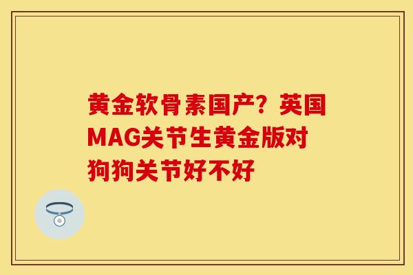 黄金软骨素国产？英国MAG关节生黄金版对狗狗关节好不好