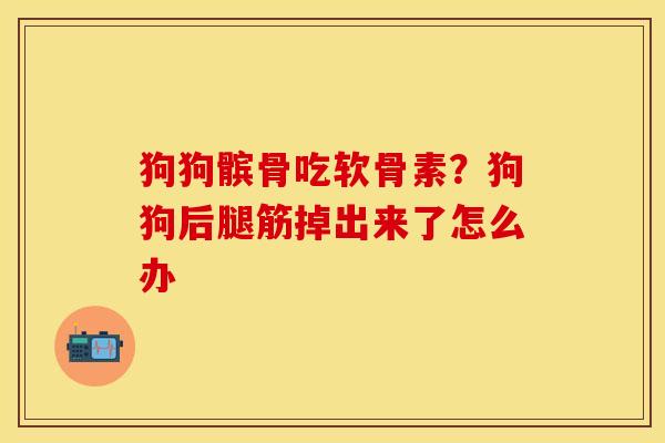 狗狗髌骨吃软骨素？狗狗后腿筋掉出来了怎么办