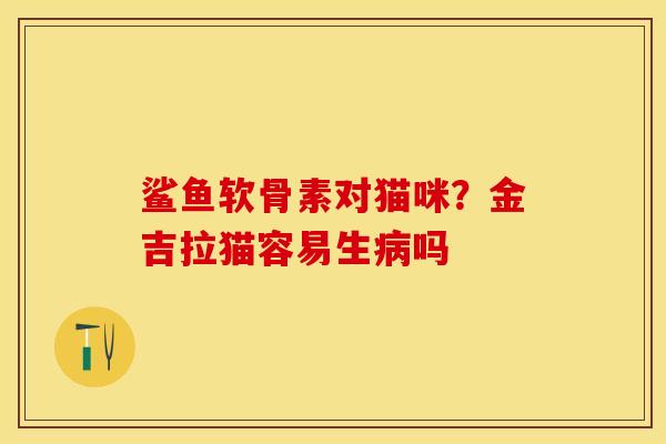鲨鱼软骨素对猫咪？金吉拉猫容易生病吗