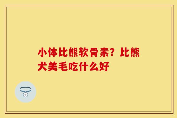 小体比熊软骨素？比熊犬美毛吃什么好