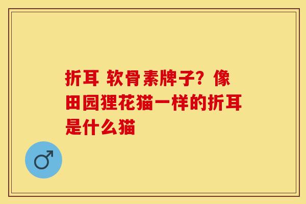 折耳 软骨素牌子？像田园狸花猫一样的折耳是什么猫