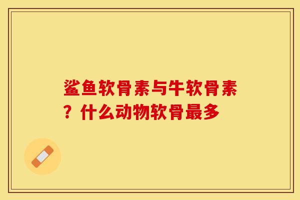 鲨鱼软骨素与牛软骨素？什么动物软骨最多