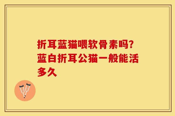 折耳蓝猫喂软骨素吗？蓝白折耳公猫一般能活多久