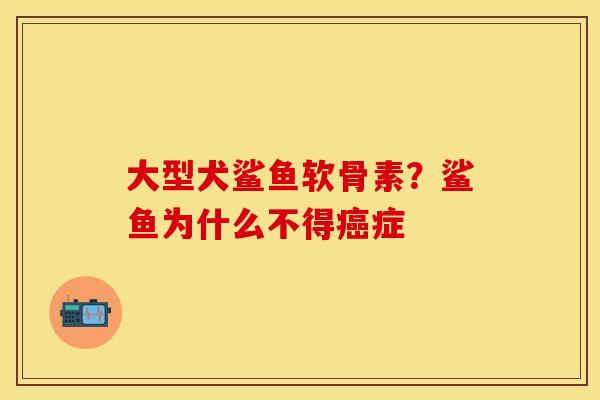 大型犬鲨鱼软骨素？鲨鱼为什么不得癌症