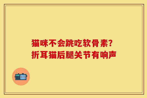 猫咪不会跳吃软骨素？折耳猫后腿关节有响声
