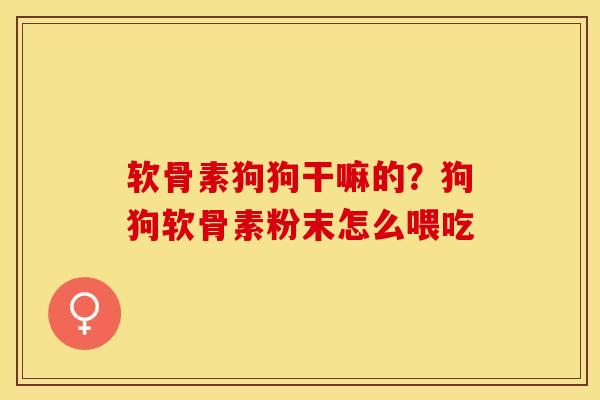 软骨素狗狗干嘛的？狗狗软骨素粉末怎么喂吃