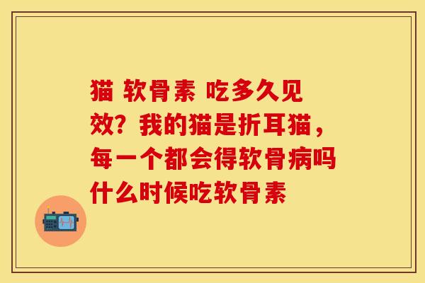 猫 软骨素 吃多久见效？我的猫是折耳猫，每一个都会得软骨病吗什么时候吃软骨素