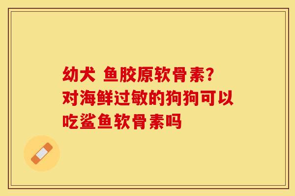 幼犬 鱼胶原软骨素？对海鲜过敏的狗狗可以吃鲨鱼软骨素吗