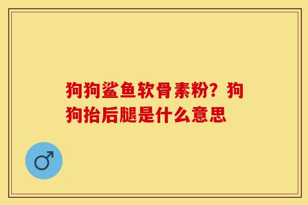 狗狗鲨鱼软骨素粉？狗狗抬后腿是什么意思