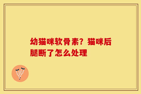 幼猫咪软骨素？猫咪后腿断了怎么处理