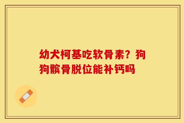 幼犬柯基吃软骨素？狗狗髌骨脱位能补钙吗