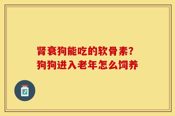 肾衰狗能吃的软骨素？狗狗进入老年怎么饲养