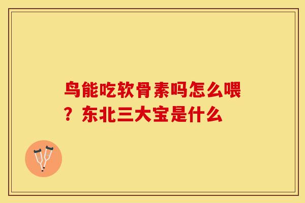 鸟能吃软骨素吗怎么喂？东北三大宝是什么