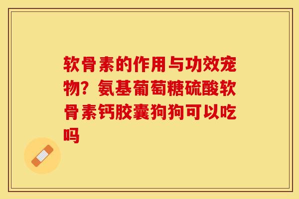 软骨素的作用与功效宠物？氨基葡萄糖硫酸软骨素钙胶囊狗狗可以吃吗