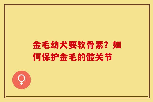 金毛幼犬要软骨素？如何保护金毛的髋关节