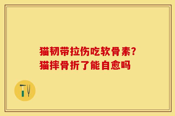 猫韧带拉伤吃软骨素？猫摔骨折了能自愈吗