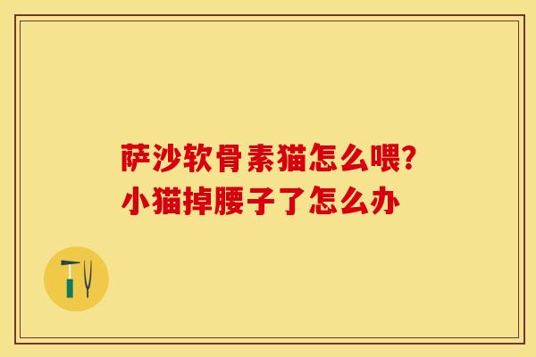 萨沙软骨素猫怎么喂？小猫掉腰子了怎么办