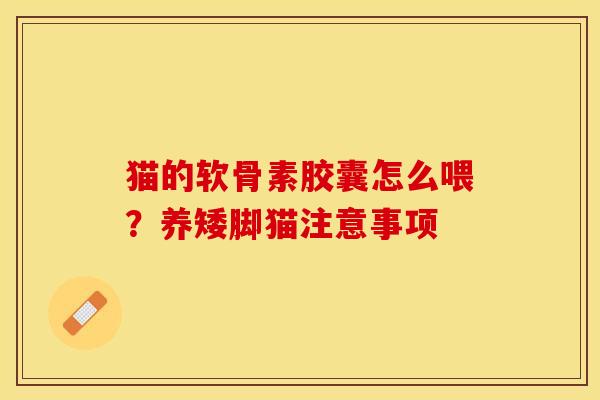 猫的软骨素胶囊怎么喂？养矮脚猫注意事项