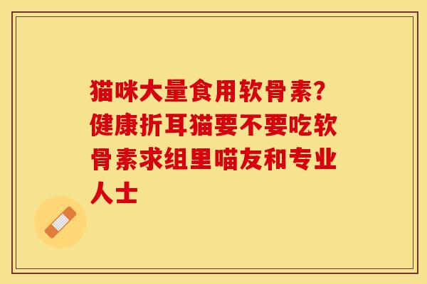 猫咪大量食用软骨素？健康折耳猫要不要吃软骨素求组里喵友和专业人士