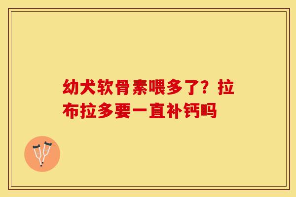 幼犬软骨素喂多了？拉布拉多要一直补钙吗