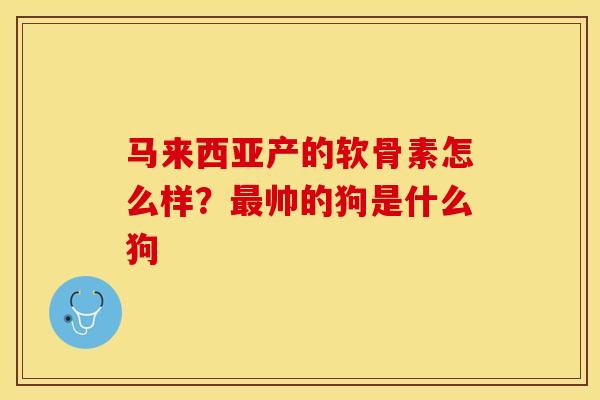 马来西亚产的软骨素怎么样？最帅的狗是什么狗