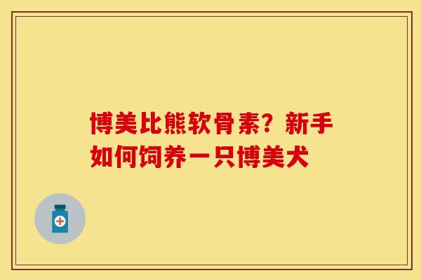 博美比熊软骨素？新手如何饲养一只博美犬