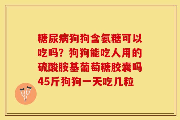 糖尿病狗狗含氨糖可以吃吗?狗狗能吃人用的硫酸胺基葡萄糖胶囊吗45斤狗狗一天吃几粒-第1张图片-关节保镖 糖尿病狗狗含氨糖可以吃吗?狗狗能吃人用的硫酸胺基葡萄糖胶囊吗45斤狗狗一天吃几粒-第1张图片-关节保镖