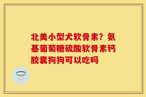 北美小型犬软骨素？氨基葡萄糖硫酸软骨素钙胶囊狗狗可以吃吗