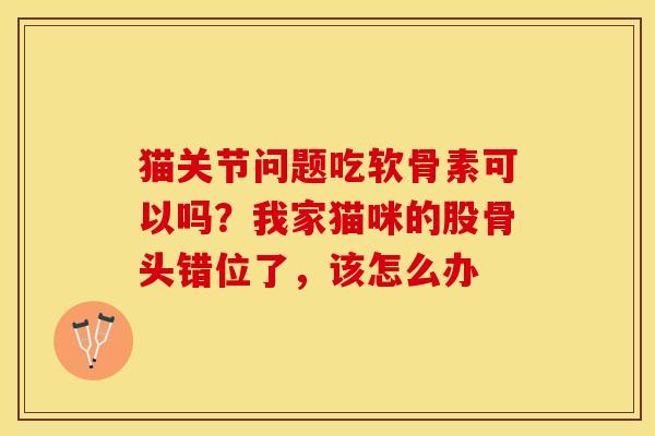 猫关节问题吃软骨素可以吗？我家猫咪的股骨头错位了，该怎么办
