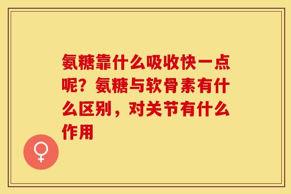氨糖靠什么吸收快一点呢？氨糖与软骨素有什么区别，对关节有什么作用