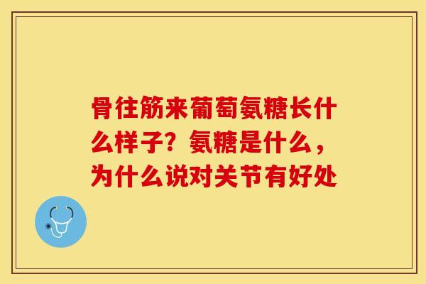 骨往筋来葡萄氨糖长什么样子？氨糖是什么，为什么说对关节有好处