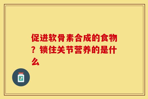 促进软骨素合成的食物？锁住关节营养的是什么