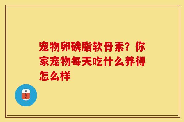 宠物卵磷脂软骨素？你家宠物每天吃什么养得怎么样