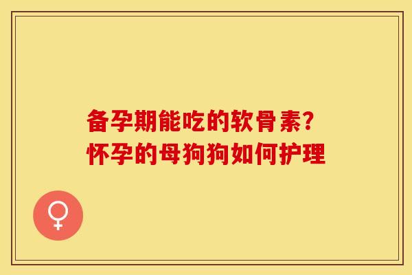 备孕期能吃的软骨素？怀孕的母狗狗如何护理