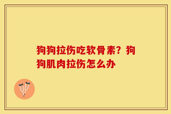 狗狗拉伤吃软骨素？狗狗肌肉拉伤怎么办