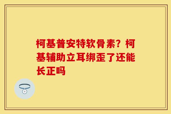 柯基普安特软骨素？柯基辅助立耳绑歪了还能长正吗