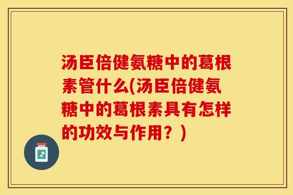汤臣倍健氨糖中的葛根素管什么(汤臣倍健氨糖中的葛根素具有怎样的功效与作用？)