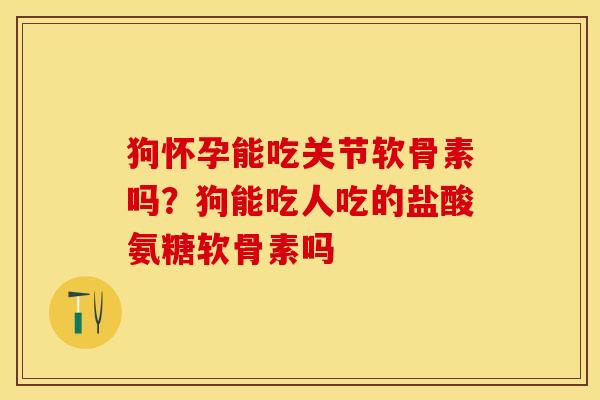 狗怀孕能吃关节软骨素吗?狗能吃人吃的盐酸氨糖软骨素吗-第1张图片-关节保镖 狗怀孕能吃关节软骨素吗?狗能吃人吃的盐酸氨糖软骨素吗-第1张图片-关节保镖