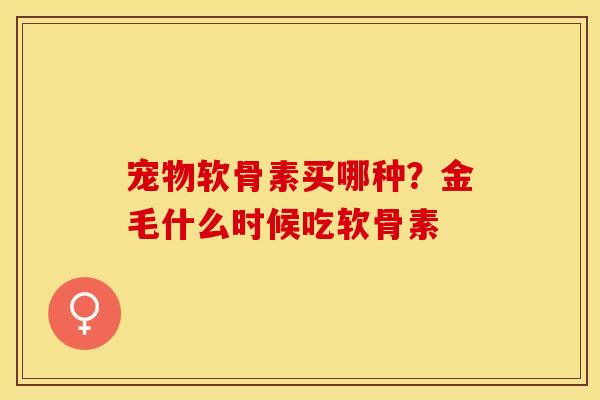 宠物软骨素买哪种？金毛什么时候吃软骨素