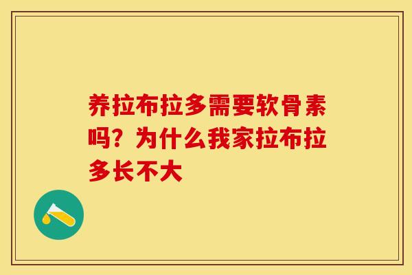 养拉布拉多需要软骨素吗？为什么我家拉布拉多长不大