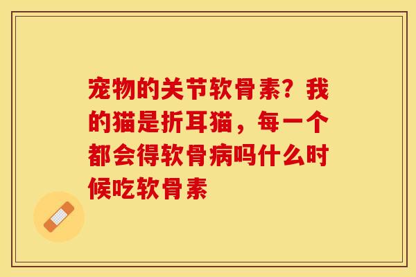 宠物的关节软骨素？我的猫是折耳猫，每一个都会得软骨病吗什么时候吃软骨素