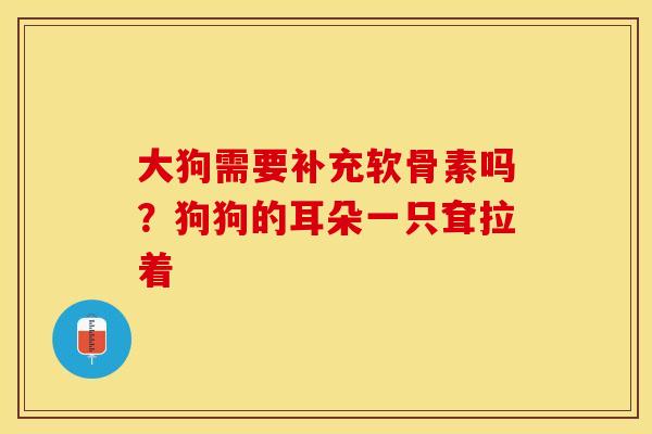 大狗需要补充软骨素吗？狗狗的耳朵一只耷拉着-第1张图片-关节保镖