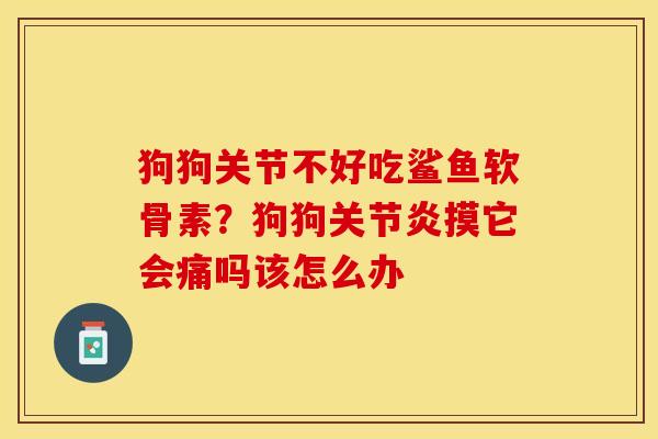 狗狗关节不好吃鲨鱼软骨素？狗狗关节炎摸它会痛吗该怎么办