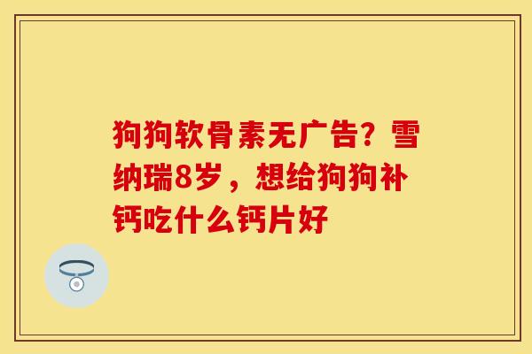 狗狗软骨素无广告？雪纳瑞8岁，想给狗狗补钙吃什么钙片好
