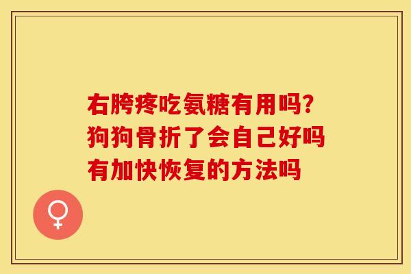 右胯疼吃氨糖有用吗？狗狗骨折了会自己好吗有加快恢复的方法吗
